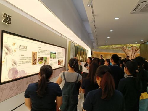 中醫藥文化潤基層——記惠州三支一扶支醫人員羅浮山國藥宣傳教育基地之行